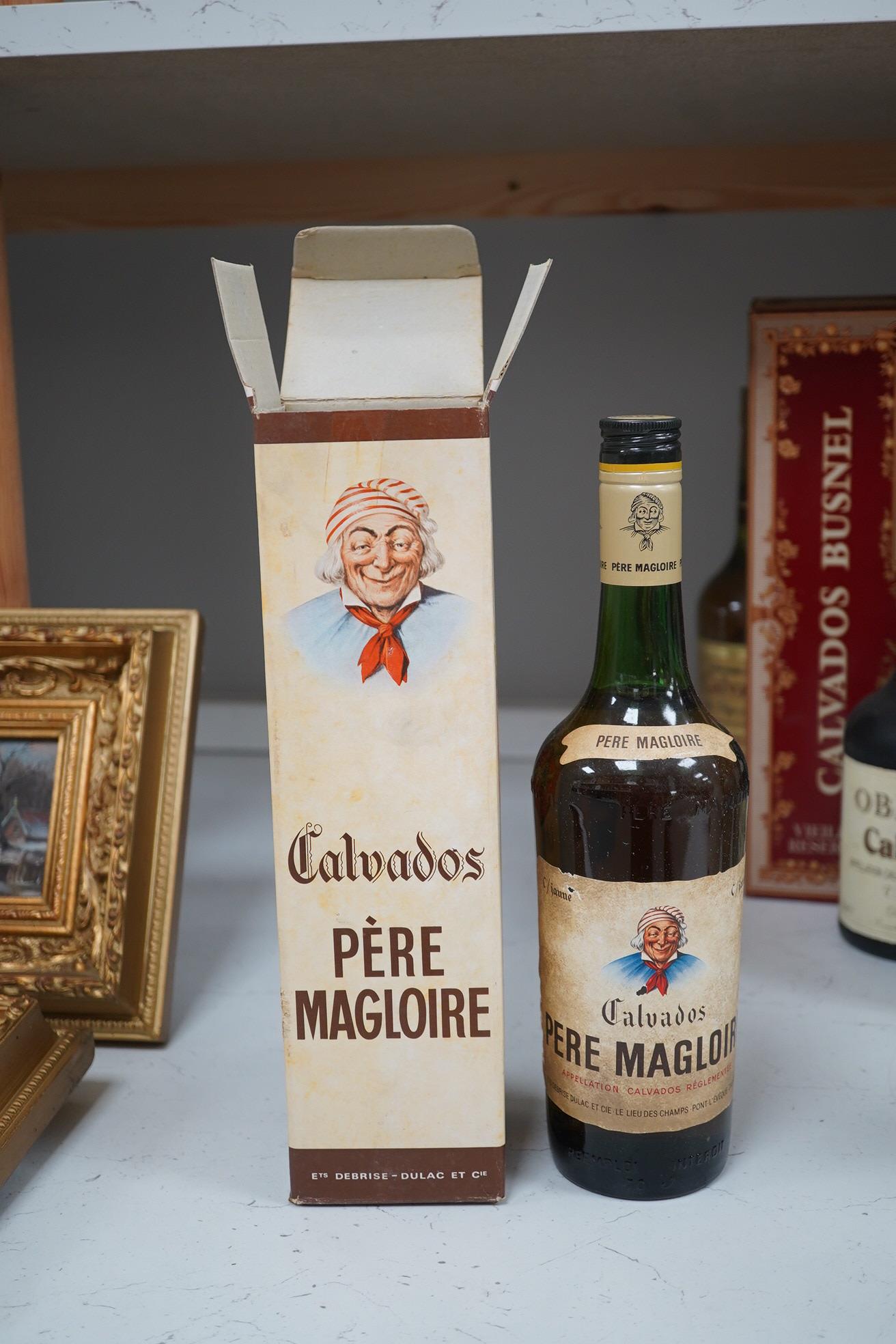 Five various bottles of Calvados, including a boxed Paul Magloire and boxed Busnel. Condition - unknown storage